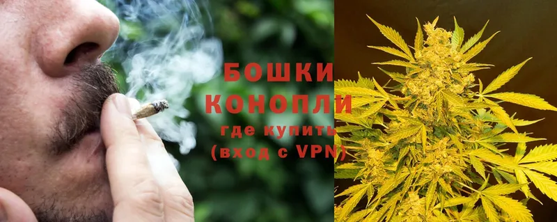 Шишки марихуана OG Kush  Белогорск 